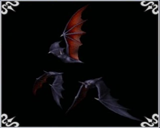 Image:002.png