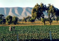 Paisaje de las tierras altas mesoamericanas