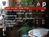 The Script Menu