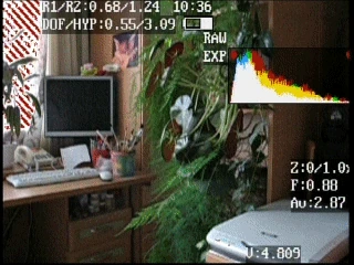 Zebra: diagonal mode