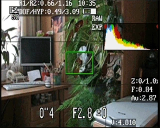 Zebra: blink mode