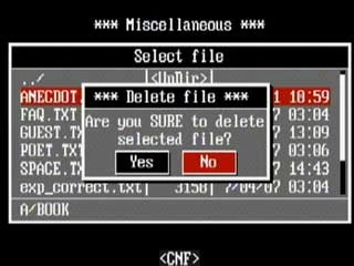 Delete file