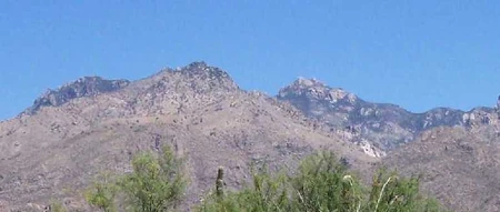Sabino Rd view of the mountains as photographed by Kim M. Bayne