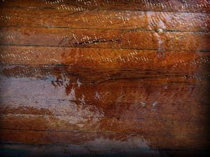 Image:1005469 red wood.jpg