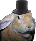 Erilu - Wealthy Carothinian Merchant and de facto leader of them.