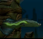 Eel