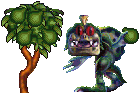 Fig Tree COB