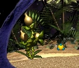 A ripe Pear Plant and its bouncy seed in Terra