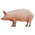 Image: Pigs.GIF