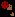 Red Roundhead Snake