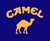 Camel cigarettes