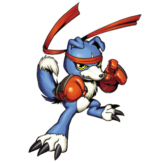 gaomon gaomon