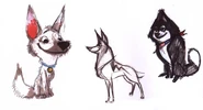 BoltConcepts
