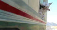 BoltTravelingPF