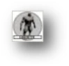 Image:cs009.PNG