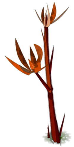 Dark Bamboo