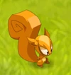 Clairvoyant Squirrel