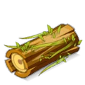 Elm Wood