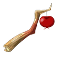 Froot Root