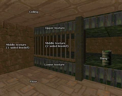 In-game view