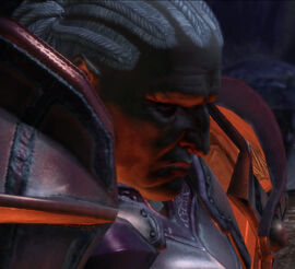 Obrazek