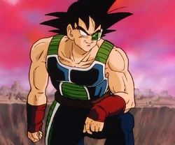 Bardock.