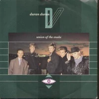 "Union of the Snake" cover