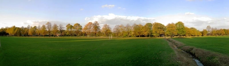 File:Lime_Tree_Avenue_in_Ecclesfield_Park.jpg