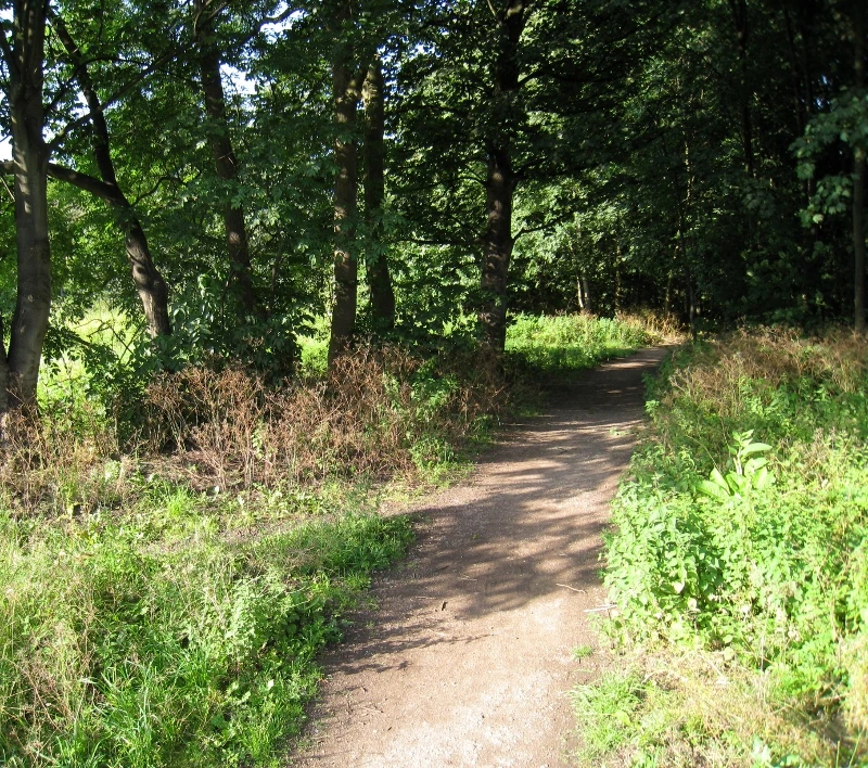Old Garage Site and Ladycroft litter pick