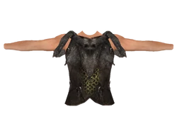 Savior's Hide (Oblivion)