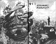 Naruto Manga