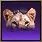 Spell Icon