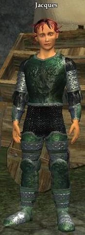 Jacques sends you to most quest hubs in the zone.