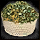 Image:Skill_Gathering.png