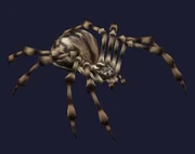 Race: Spider - to upload a more specific image, click here