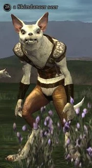 Skindancer seer