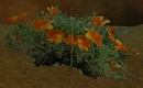 Bush for aconite petal