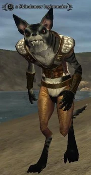 Skindancer legionnaire