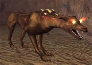 Race: Hellhound - to upload a more specific image, click here