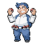 Imagen:Pokécolector RZE.png