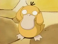 Psyduck de Misty