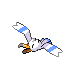 Imagen de Wingull macho o hembra en Pokémon Diamante y Perla