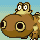 Hippopotas
