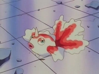 Goldeen de Misty