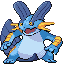 SwampertRFVH.png