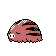 Imagen de Swinub en Pokémon Plata