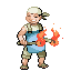 Imagen:Fogonero RZE.png