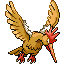 Imagen de Fearow en Pokémon Rubí y Zafiro