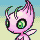 Celebi rosa