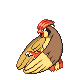 pidgey